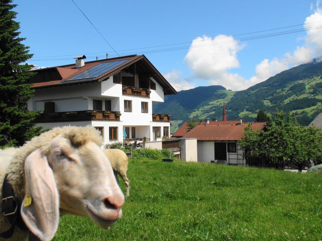Gastehaus Treichl Otel Fügen Dış mekan fotoğraf